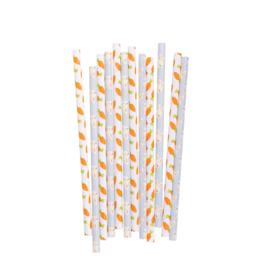Bunny + Carrot Reusable Straws - Henry + Olives