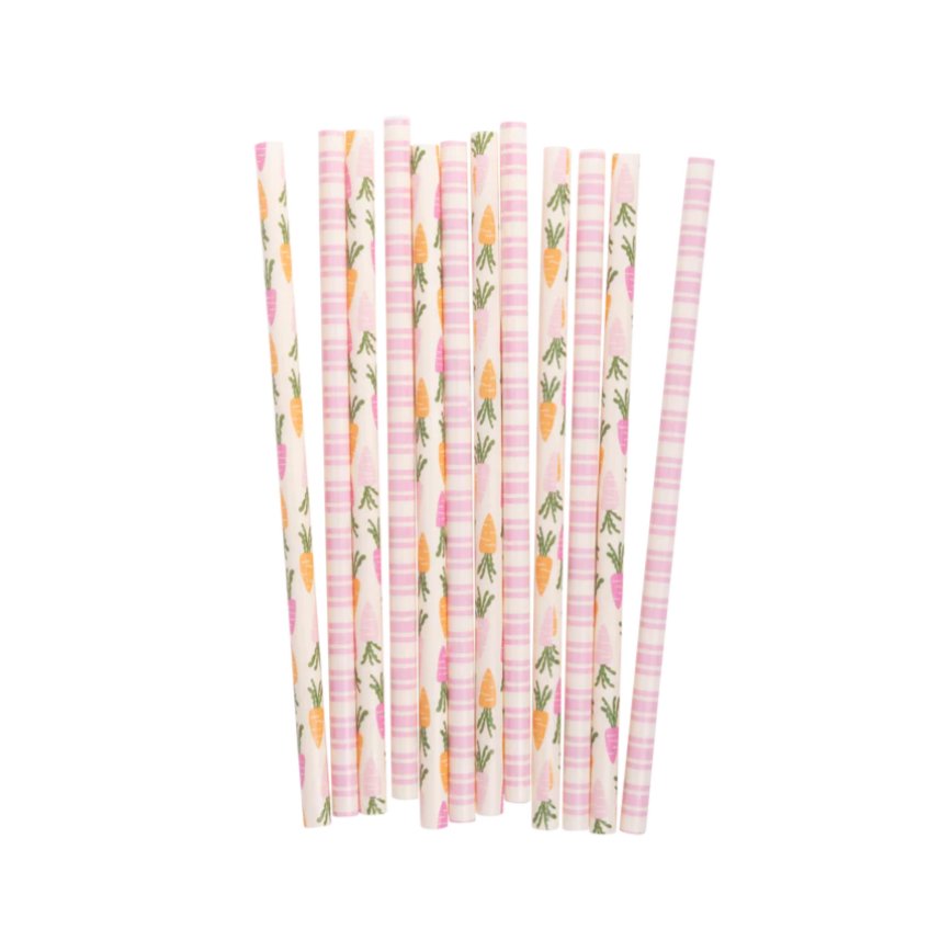 Carrots + Stripe Reusable Straws - Henry + Olives