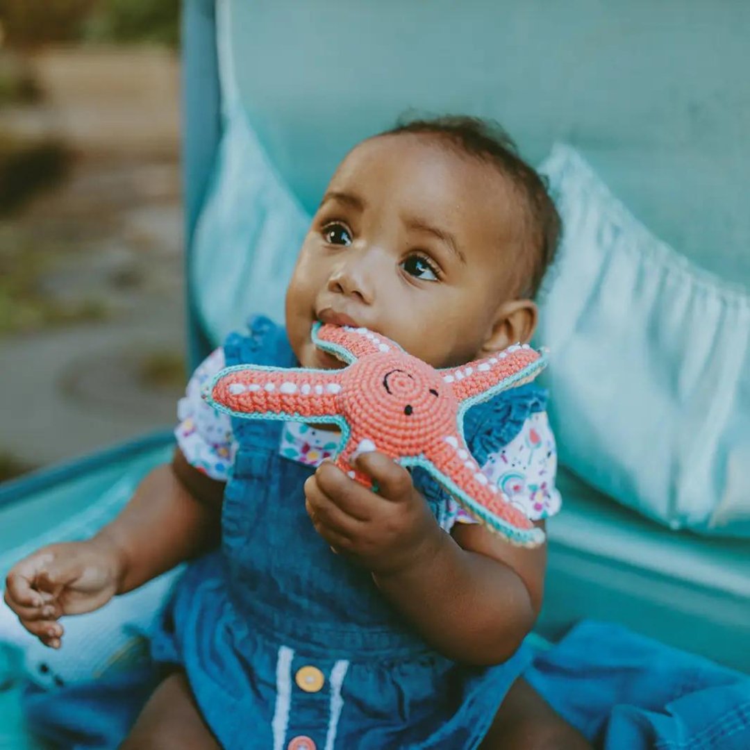 Organic Plush Starfish Toy - Henry + Olives