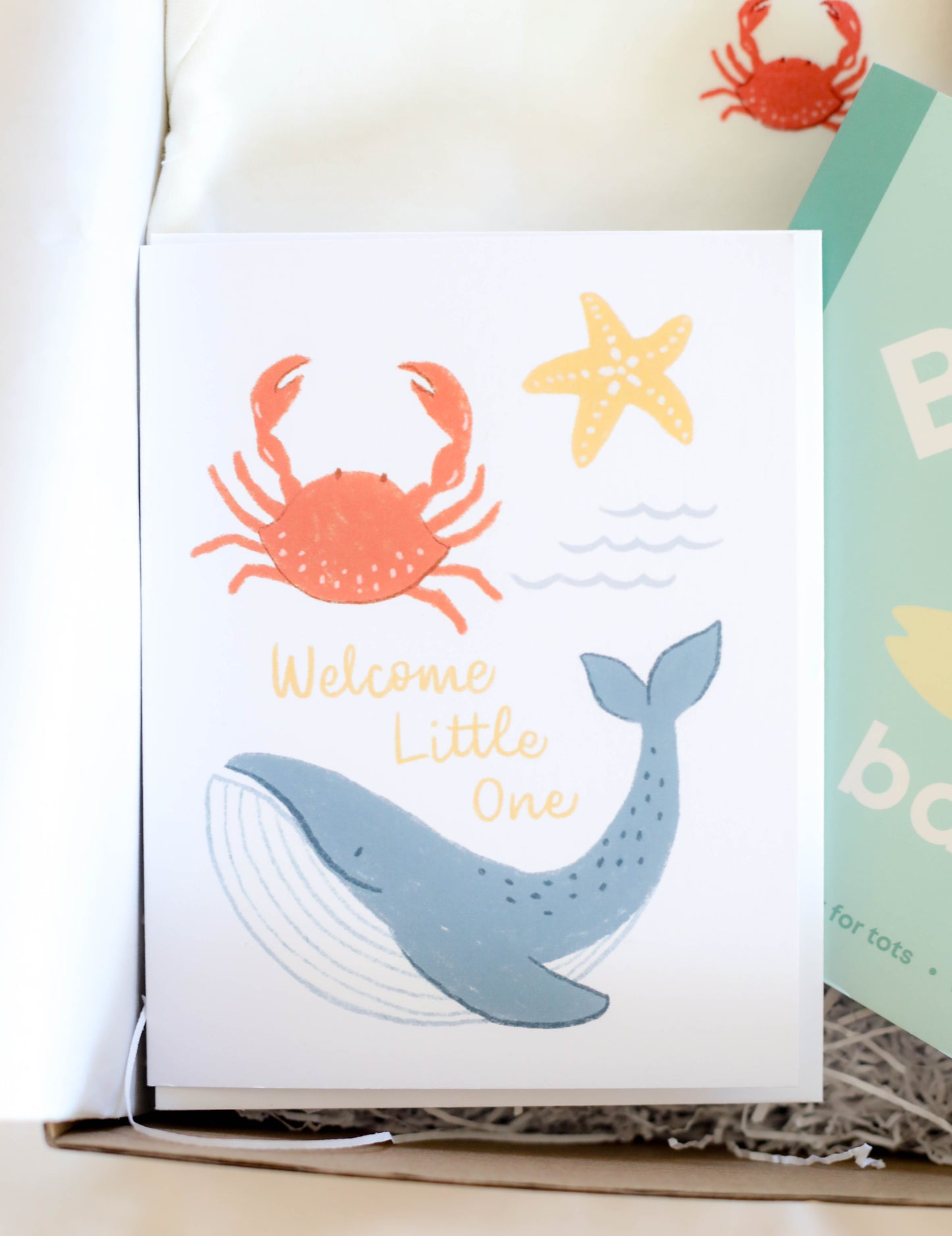 Little Crab Baby Gift Set