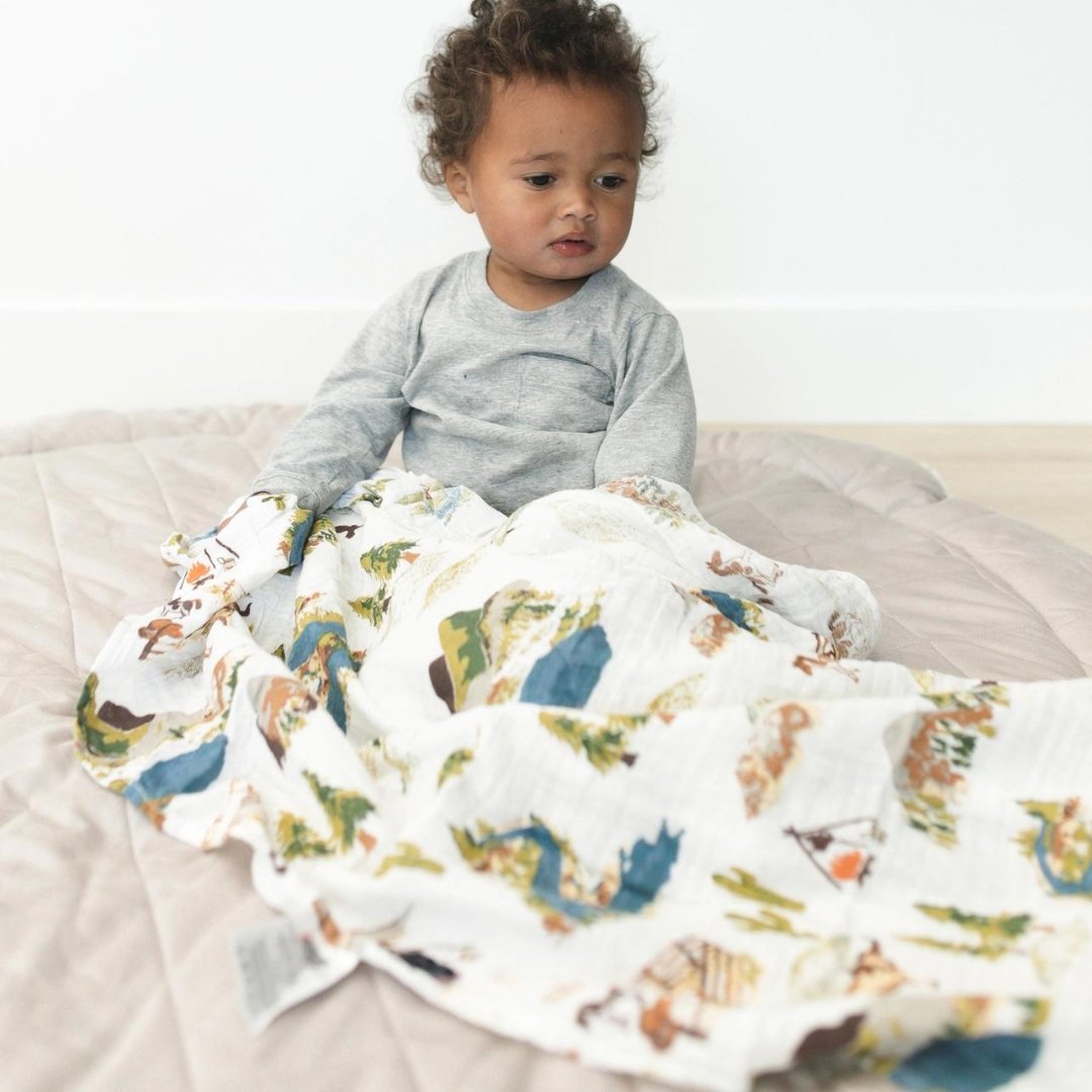 Bebe au Lait Wyoming + Western Stripe Classic Muslin Swaddle Blanket Set - Henry + Olives