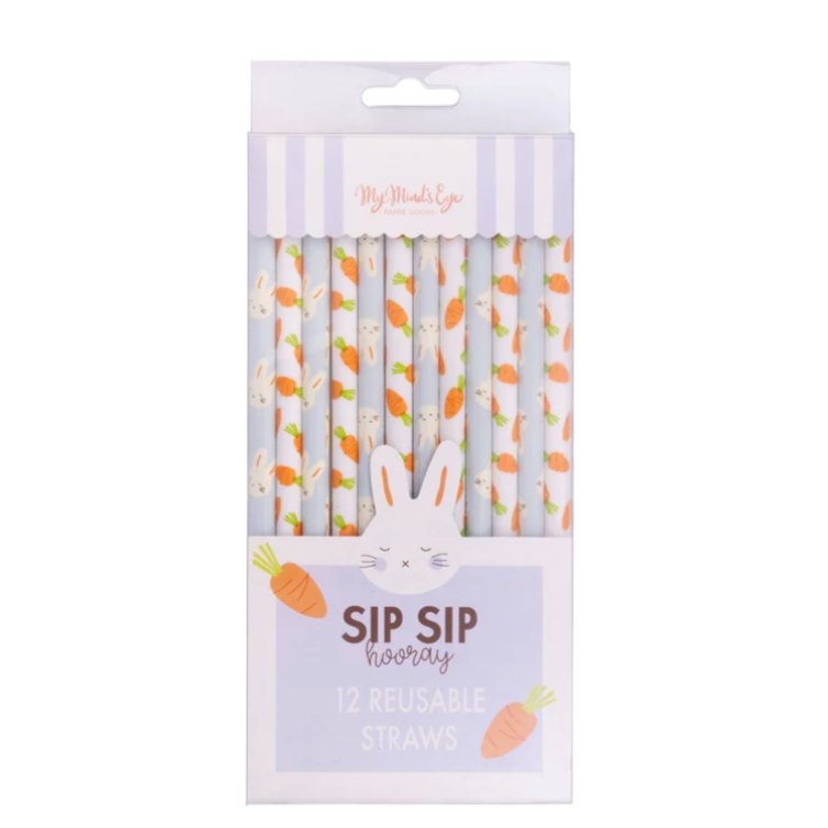 Bunny + Carrot Reusable Straws - Henry + Olives