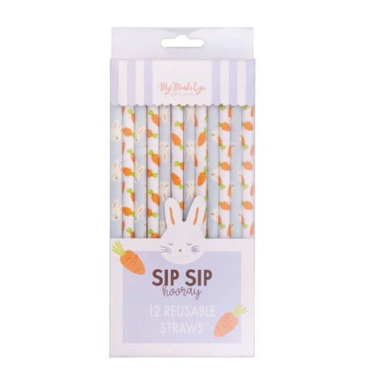 Bunny + Carrot Reusable Straws - Henry + Olives