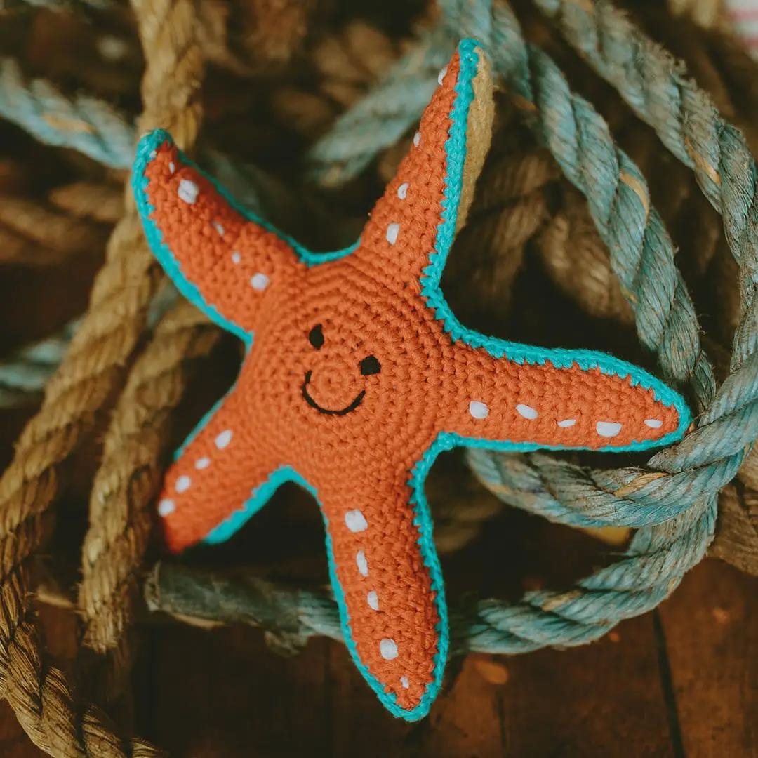Organic Plush Starfish Toy - Henry + Olives